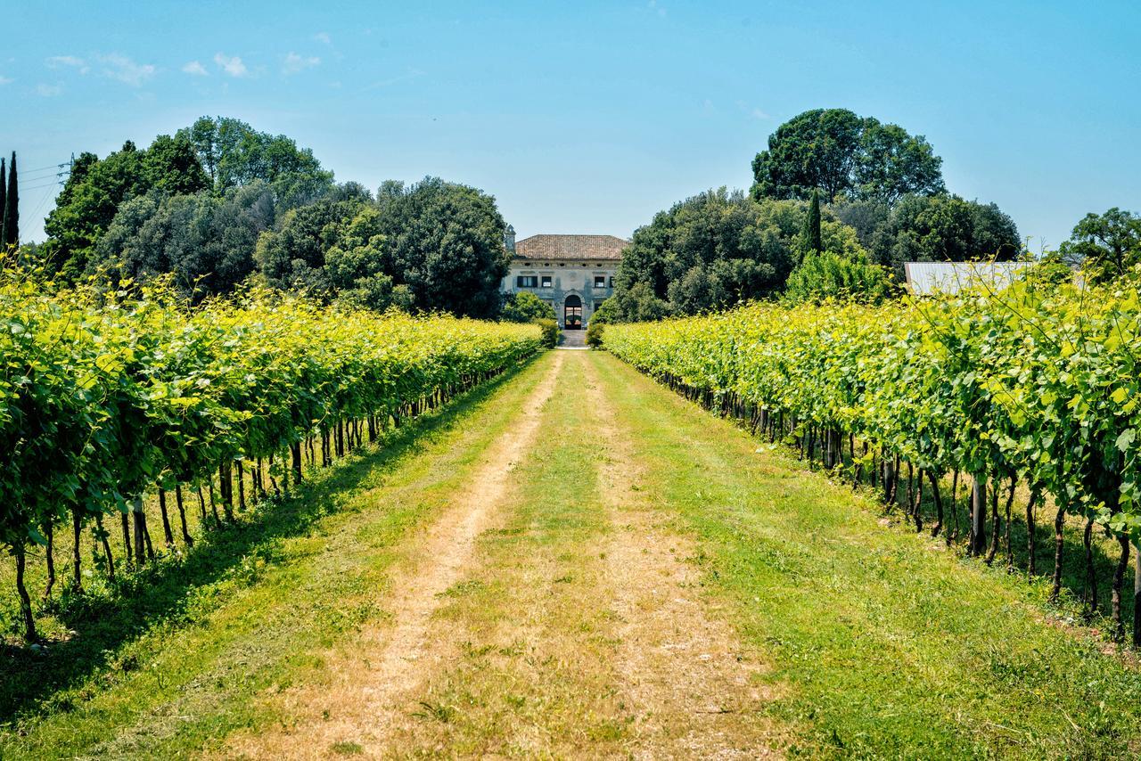 Relais Villa Sagramoso Sacchetti Verona Exteriör bild