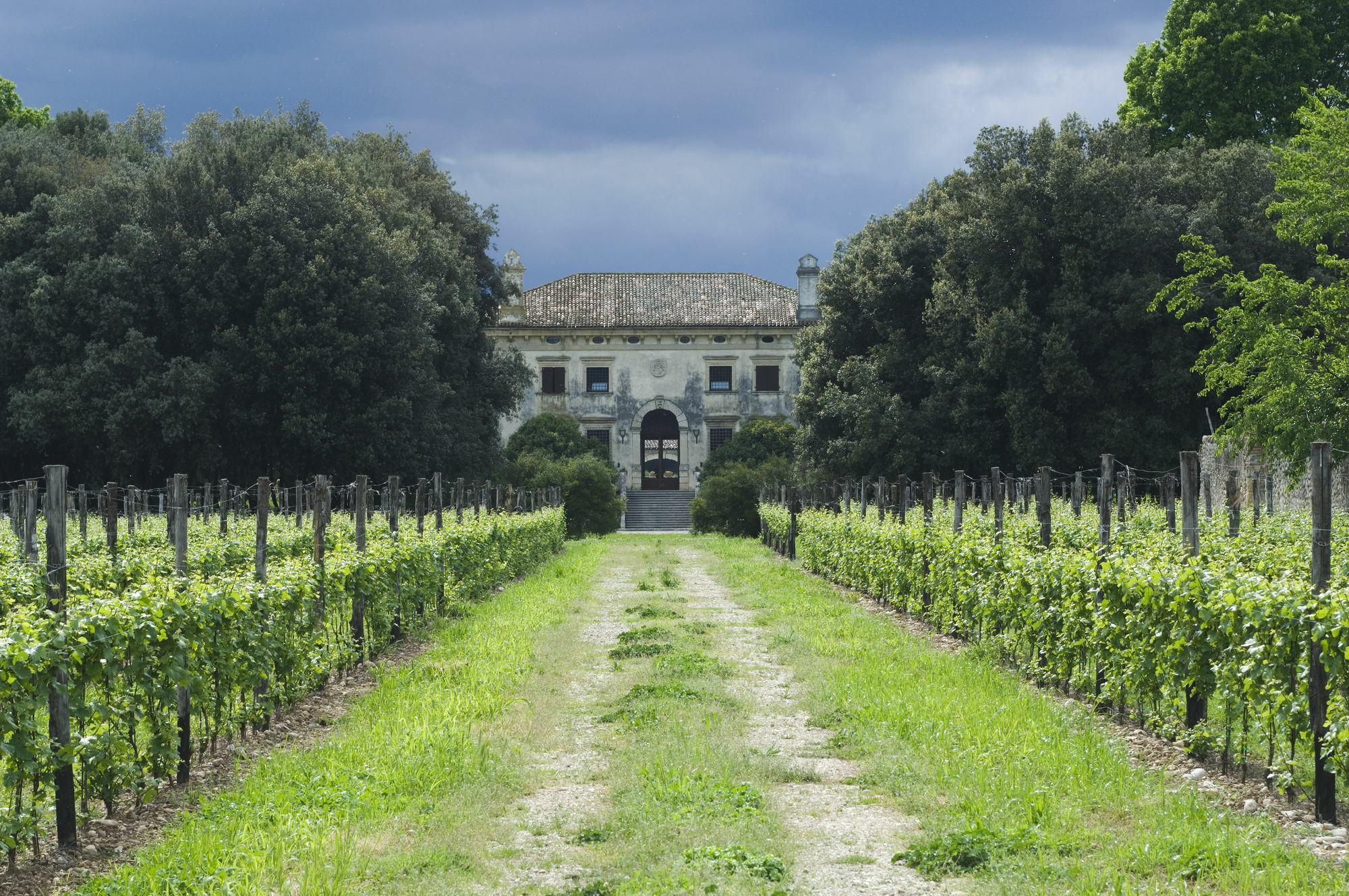 Relais Villa Sagramoso Sacchetti Verona Exteriör bild